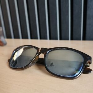 Ray-Ban Andy Polarized Sunglasses